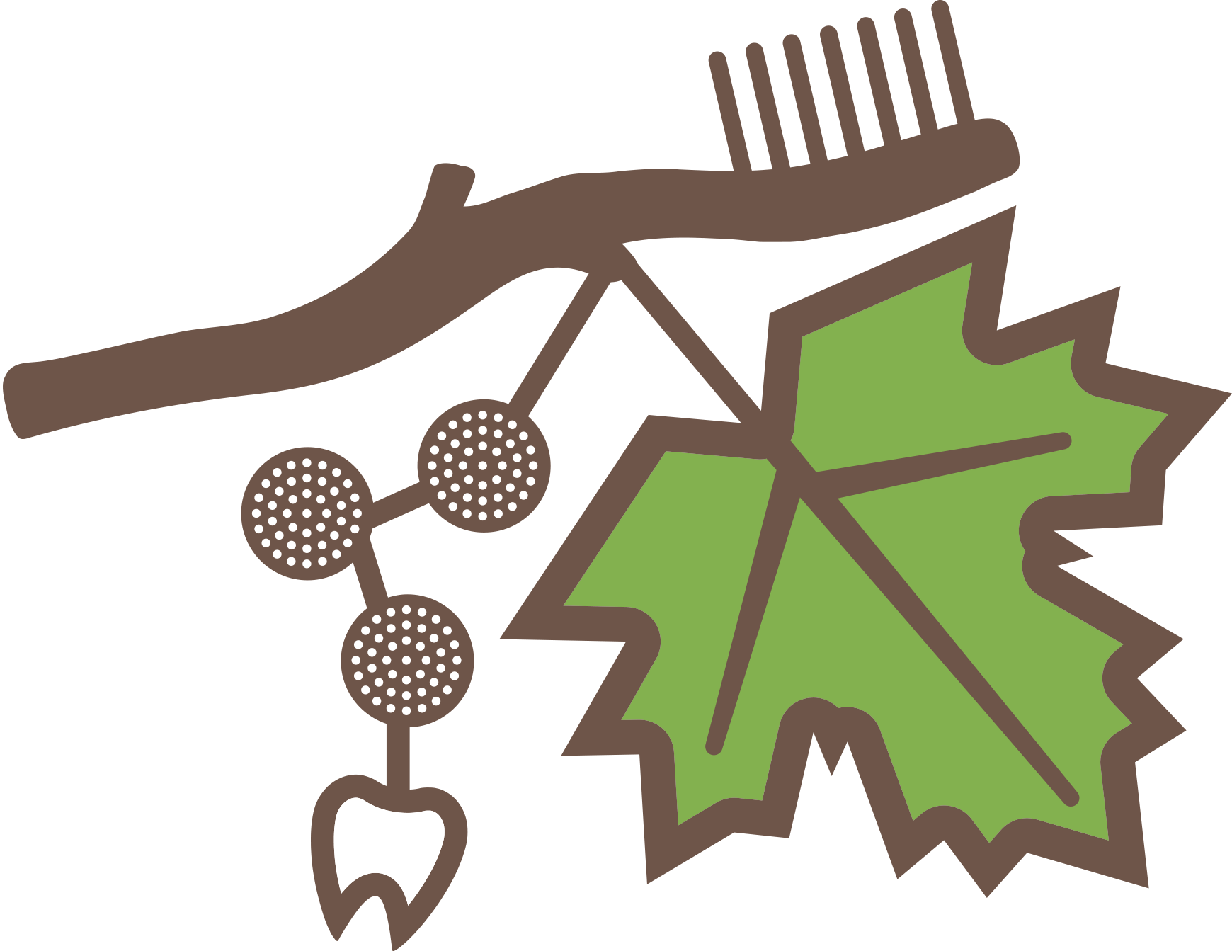 施設について すずかけ歯科 鎌ケ谷